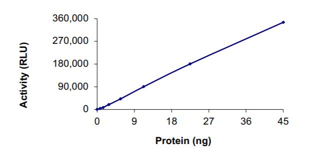 31 nmol/min/mg